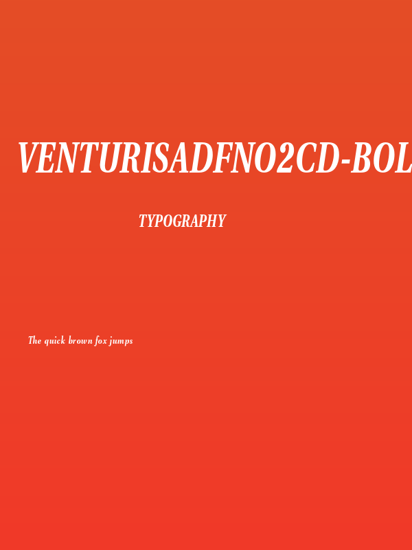 VenturisADFNo2Cd-BoldItalic Poster