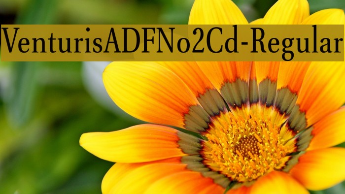 VenturisADFNo2Cd-Regular Font examples
