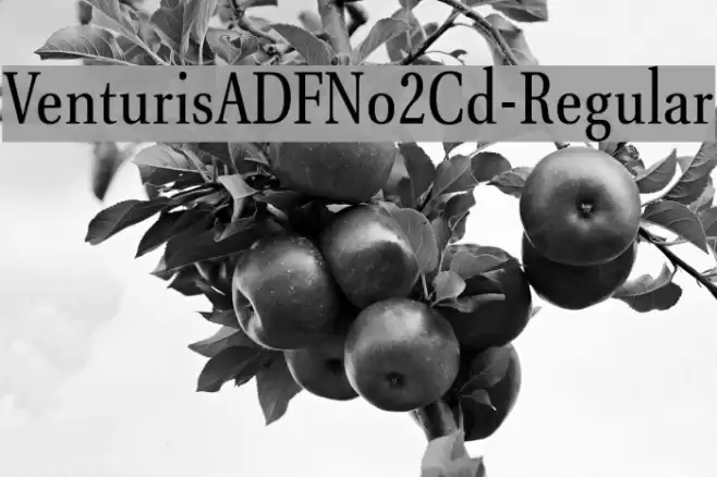 VenturisADFNo2Cd-Regular  examples