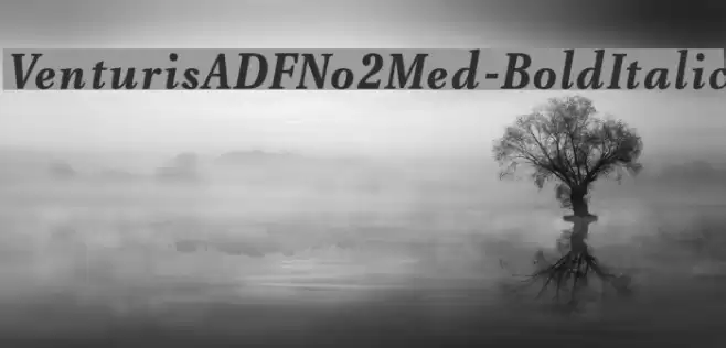 VenturisADFNo2Med-BoldItalic Polices examples