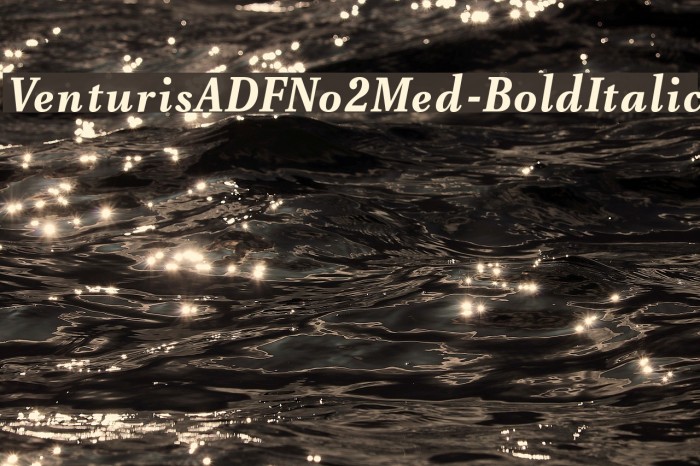 VenturisADFNo2Med-BoldItalic Polices examples