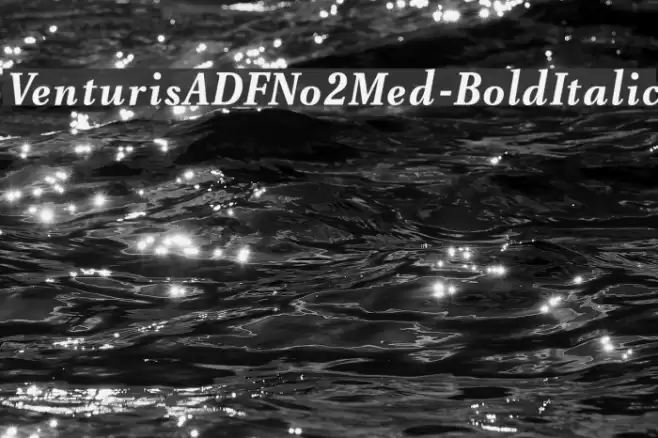 VenturisADFNo2Med-BoldItalic Polices examples