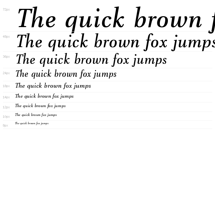 VenturisADFNo2Med-Italic Waterfall