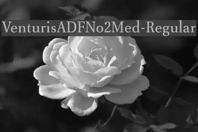 VenturisADFNo2Med-Regular Font examples