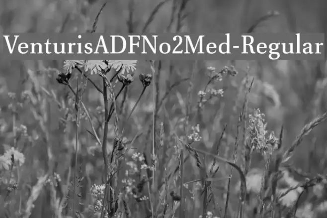 VenturisADFNo2Med-Regular Font examples