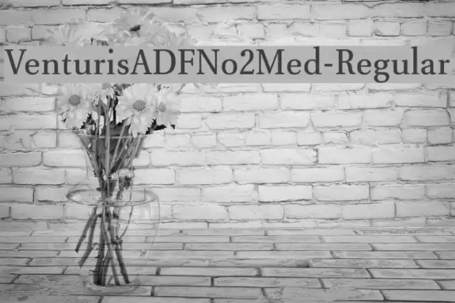VenturisADFNo2Med-Regular Font examples