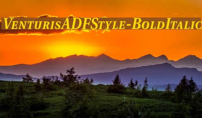 VenturisADFStyle-BoldItalic Font examples