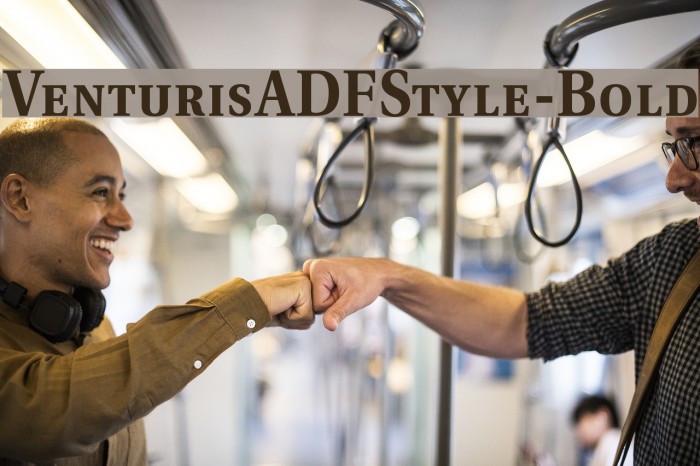 VenturisADFStyle-Bold Font examples