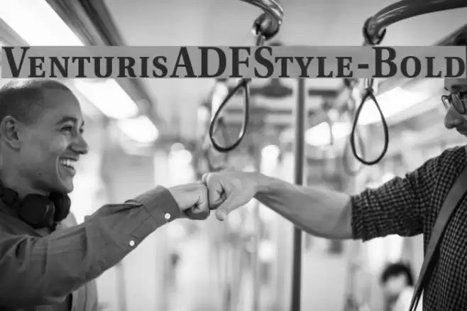 VenturisADFStyle-Bold خط examples