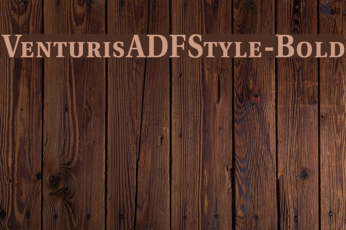 VenturisADFStyle-Bold Font examples