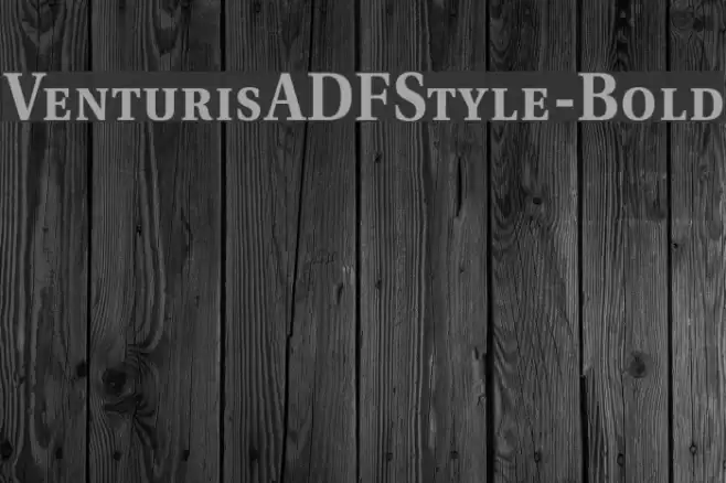 VenturisADFStyle-Bold خط examples