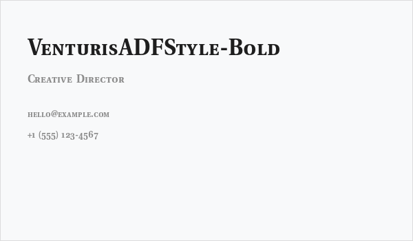 VenturisADFStyle-Bold Business Card