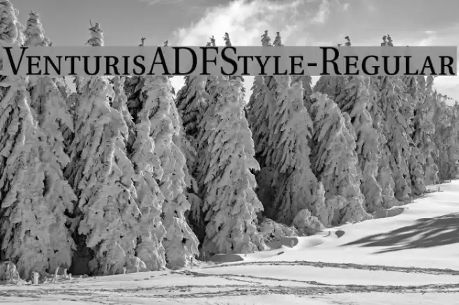 VenturisADFStyle-Regular Font examples