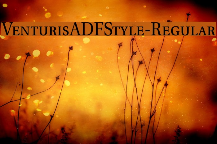 VenturisADFStyle-Regular Font examples