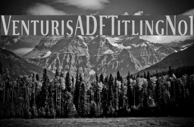 VenturisADFTitlingNo1 Font examples
