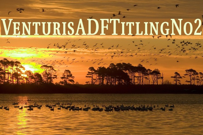 VenturisADFTitlingNo2 Font examples