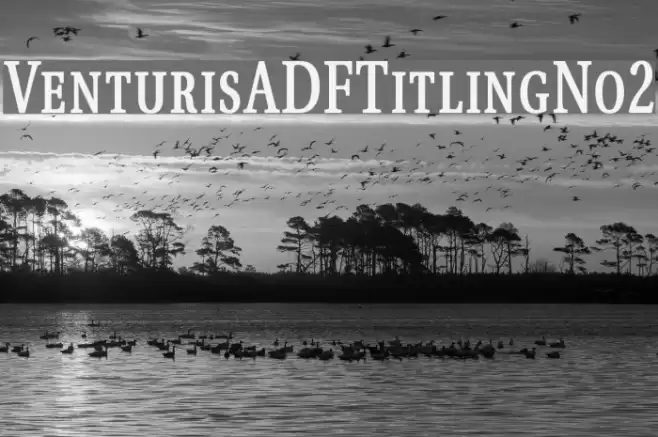VenturisADFTitlingNo2  examples