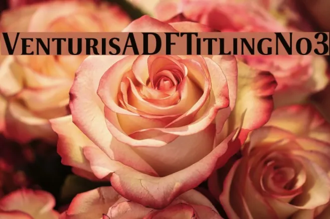 VenturisADFTitlingNo3 Example 1
