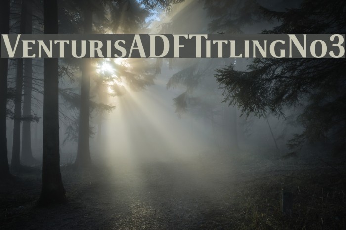 VenturisADFTitlingNo3 Font examples