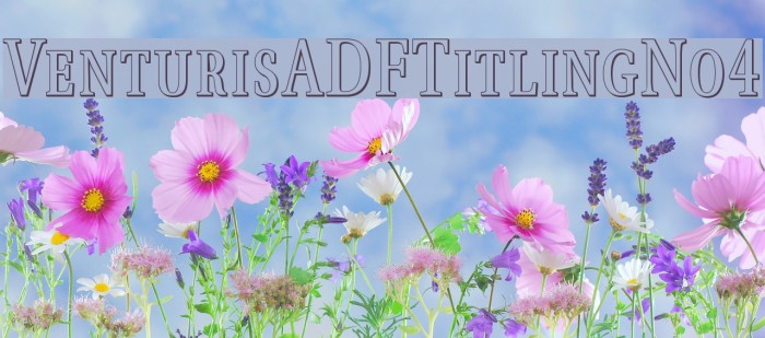 VenturisADFTitlingNo4 Font examples