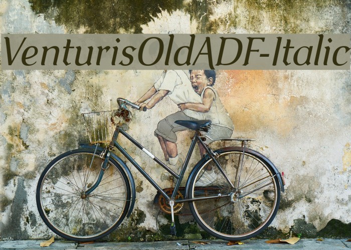 VenturisOldADF-Italic Font examples