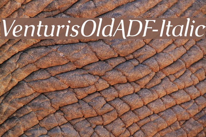 VenturisOldADF-Italic Font examples