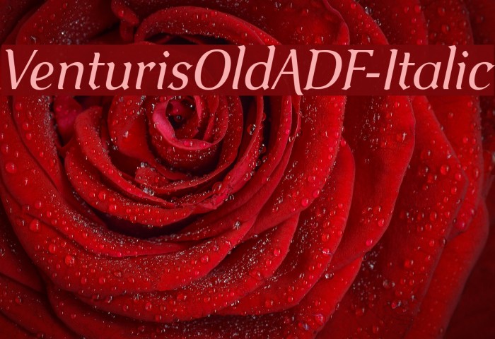 VenturisOldADF-Italic Font examples