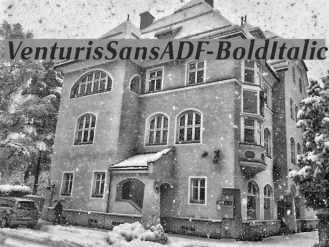 VenturisSansADF-BoldItalic Font examples