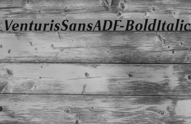VenturisSansADF-BoldItalic Font examples