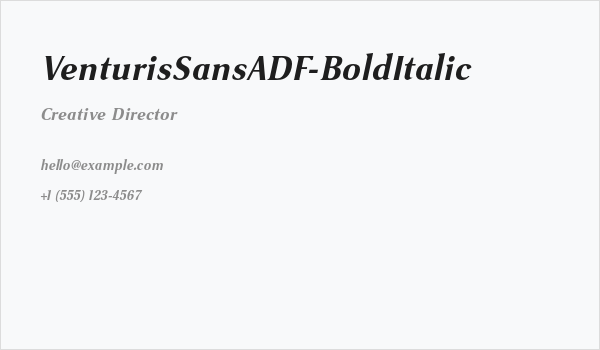 VenturisSansADF-BoldItalic Business Card