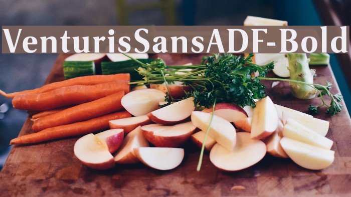 VenturisSansADF-Bold Font examples