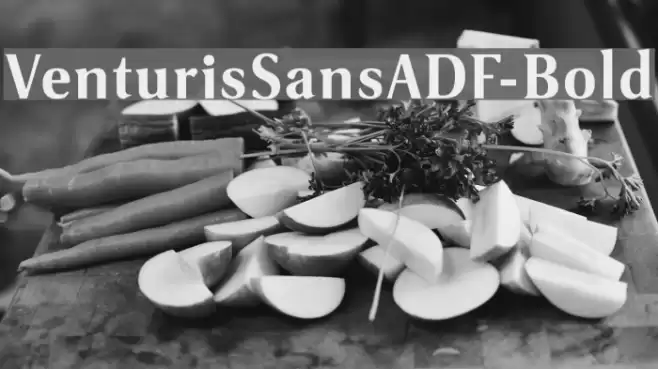 VenturisSansADF-Bold Fonte examples