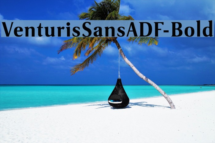 VenturisSansADF-Bold Font examples