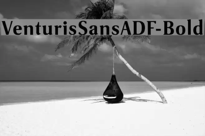 VenturisSansADF-Bold Fonte examples