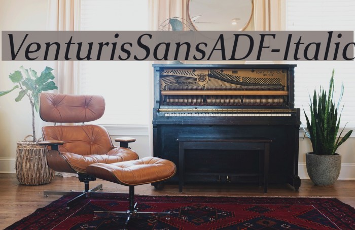 VenturisSansADF-Italic Font examples