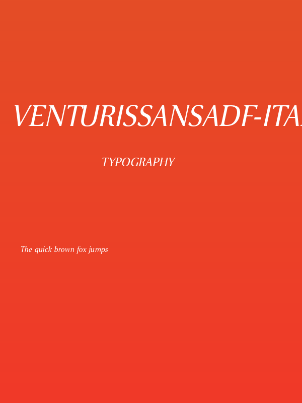 VenturisSansADF-Italic Poster