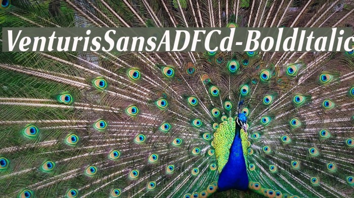 VenturisSansADFCd-BoldItalic Example 1