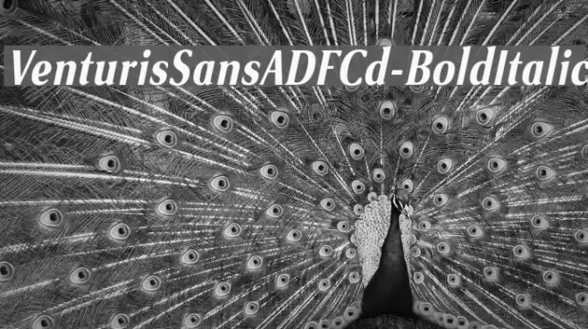 VenturisSansADFCd-BoldItalic Font examples