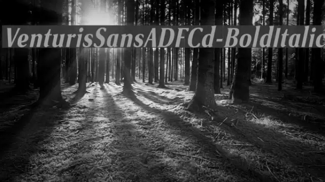 VenturisSansADFCd-BoldItalic Font examples