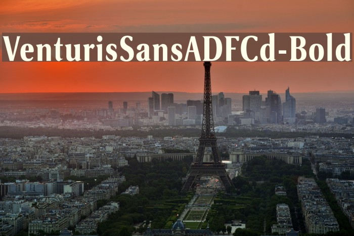 VenturisSansADFCd-Bold Font examples