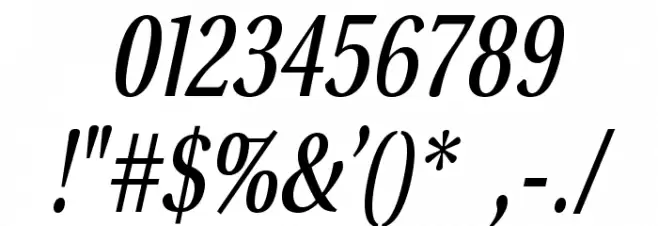 VenturisSansADFCd-Italic Font OTHER CHARS
