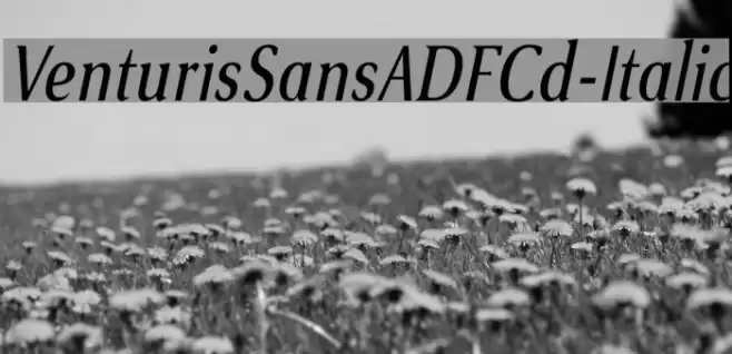 VenturisSansADFCd-Italic Font examples