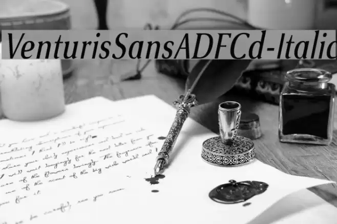VenturisSansADFCd-Italic Font examples