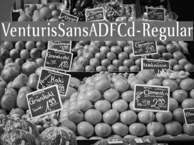 VenturisSansADFCd-Regular Font examples