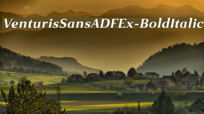 VenturisSansADFEx-BoldItalic Font examples