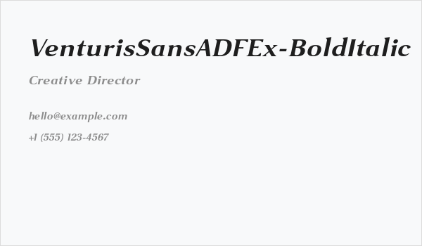 VenturisSansADFEx-BoldItalic Business Card