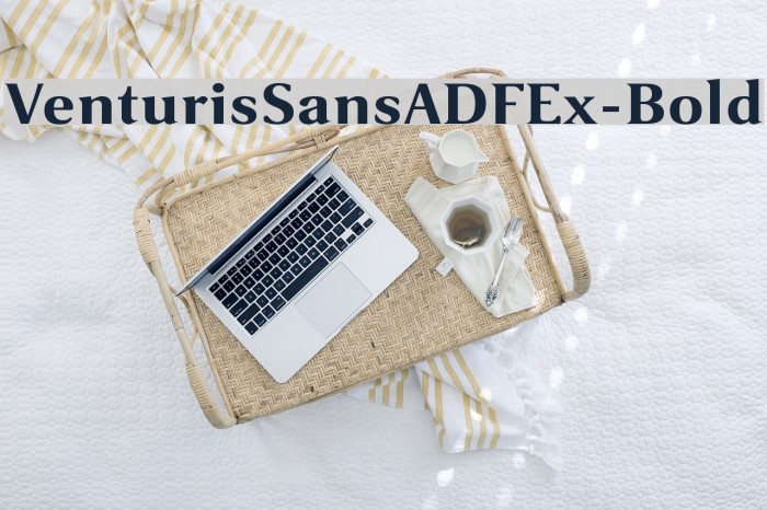 VenturisSansADFEx-Bold Font examples