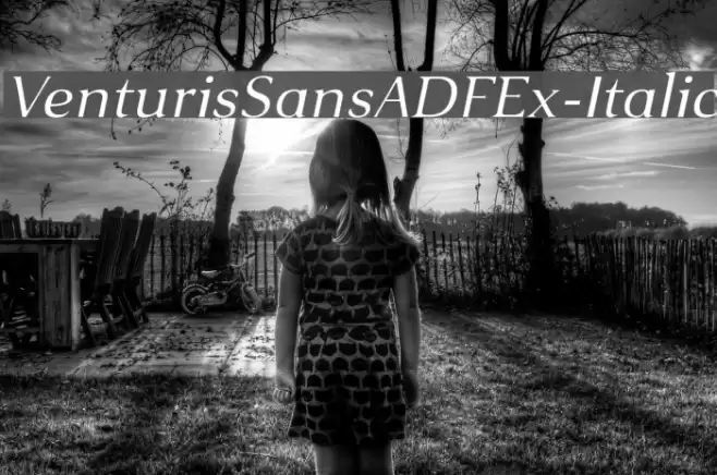 VenturisSansADFEx-Italic Font examples