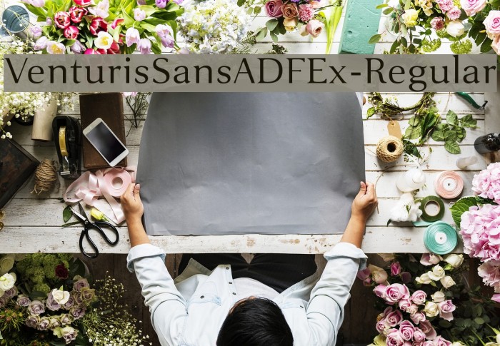 VenturisSansADFEx-Regular Font examples