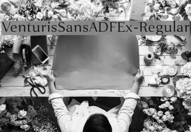 VenturisSansADFEx-Regular  examples